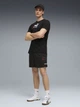 Спортивные шорты мужские Puma Essentials Graphics 69203301 L Black (4069162201430) - изображение 3
