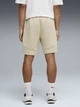 Шорты хлопковые короткие мужские Puma Evostripe 69219261 S Pebble Gray (4069161985812) - изображение 2