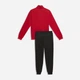 Спортивный костюм мужской Puma Tracksuits 69263011 XL For All Time Red (4069161412813) - изображение 5