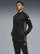 Спортивный костюм мужской Puma Individualliga 66057603 XL Black-White-Shadow Gray (4069162857798) - изображение 7