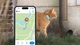 GPS трекер для кошек Tractive LTE Mini Mint - изображение 4