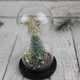 Новорічна ялинка в колбі із зіркою Christmas Decor 23.5см з LED підсвічуванням на батарейках Зелена (025y) - зображення 7