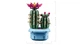 Конструктор Lego Botanicals Цветущий кактус 11509 - изображение 7