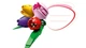 Конструктор Lego Botanicals Букет тюльпанов 11501 - изображение 5