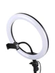 Кольцевая лампа Ring Fill Light 32 см - изображение 1