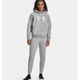 Худі жіноче Under Armour Women's UA Rival Fleece Big Logo Hoodie 1379501-012 l, сірий - изображение 3