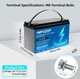 Комплект инвертор WX1252 Inverter преобразователь MPPT 1500 Вт 24-220V 40 А и 2 аккумулятора MFUZOP LiFePO4 12,8 V 100 Ah - изображение 9