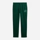 Спортивный костюм мужской утепленный GAP 748450614 L Зеленый (1159851468) - изображение 8