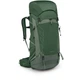 Рюкзак туристический Osprey Talon 44 Green canopy pine leaf L/XL (100080056) - изображение 1