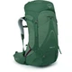 Рюкзак туристический Osprey Aura AG LT 65 Koseret/Darjeeling Spring Green XS/S. - изображение 1