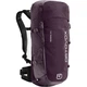 Рюкзак туристический Ortovox Traverse 28 S Wild berry Uni (100080927) - изображение 1