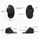 Вертикальная бесшумная эргономичная мышь Delux M618XSD Seeker, Bluetooth / 2.4G, OLED-дисплей, RGB, 4000 DPI - изображение 4
