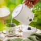 Електрочайник дорожній Adler AD 1388 white, 0.8L, 650 Вт - изображение 4