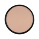 LN PRO Пудра матуюча Matt Effect Powder №103 12 г - изображение 3