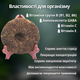 Легендарный чай шу пуэр ГАБА от Не Цюнь Хао 100 г, GABA 2024 г - изображение 2