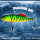 ВІб CONDOR FISHING Oskar 60S 60мм 145г #shok (4645061_145_shok) - зображення 3