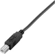 Кабель Equip USB-A Male to USB Type B Male 2 м Black (128864) - зображення 2