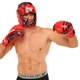 Перчатки боксерские кожаные на липучке Fistrage Fight Gear 79211 размер 12 унций Red-Black - изображение 8