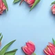 Фотофон виниловый водонепроницаемый для предметной съемки 100х100см "Тюльпаны на голубом 38" - изображение 1