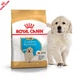 Сухий корм Royal Canin Golden Retriever Puppy - для цуценят голден ретрівера до 15 міс., 12 кг (39791201) - зображення 7