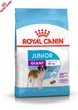 Сухий корм Royal Canin Giant Junior - сухий корм для щенят гігантських порід від 8 до 18/24 міс., 15 кг (3031150) - зображення 7