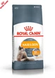 Cухой корм Royal Canin Hair and Skin Care – для взрослых кошек с проблемной кожей и шерстью, 10 кг (2526100) - изображение 7