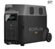 Зарядна портативна станція EcoFlow DELTA Pro /3600 Вт/г (DELTAPro-EU) - зображення 1