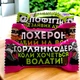 АНТИСТРЕСС-АПТЕЧКА — 10 юмористических конфет внутри (вариант 2) - изображение 5