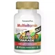 Мультивітаміни для дітей Nature's Plus Animal Parade Gold вишня, апельсин, виноград 60 жувальних таблеток - зображення 4