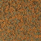 Корм сухий Tetra Wafer Mix для акваріумних донних риб та ракообразних 15 г(SU_F59B15C1FDC1) - зображення 2