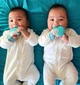 Гризун-рукавичка з чохлом Malarkey Kids MMM04A - зображення 2