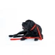 Водостойкий поводок Waudog Waterproof L/XXL 25 мм х 183 см Красный (27223 Col) - изображение 6