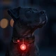 Фонарик для собак и кошек Waudog USB LED в силиконовом чехле 37 мм (8882 Col) - изображение 8