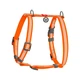 Шлея для собак анатомічна Waudog Waterproof з QR-паспортом/світловідбивна L 25 х 50-85 см (26622398) - зображення 1