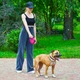 Повідець-рулетка для собак Waudog R-leash з контейнером для пакетів/світловідбивною стрічкою L до 40 кг 5 м Рожевий (26297 Col) - зображення 9