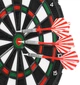 Дартс Spokey Narvi Basic 942240 (5905339422408) - зображення 5