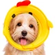 М'який комір-подушка для кішок Lesko 2212CGAN028 XL Chick післяопераційний захисний від вилизування - зображення 2