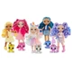 Игровой набор с куклой «Сапфира» Rainbow High 531197 серии «Littles» с аксессуарами - изображение 5