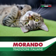 Сухий корм Morando Tradizioni Sterilized Сухий корм для стерилізованих котів з лососем 400 г (m02767) - зображення 5