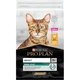Сухой корм для кошек Purina Pro Plan Original с курицей 10 кг (7613036508032) - изображение 4