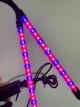 Фітолампа Full Spectrum LED Grow Light подвійна на прищіпці. Світильник для рослин, розсади, квітів. Таймер, USB, 20W - зображення 7