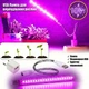 USB Фітолампа LED для Рослин та Розсади 10W з пнучким подовжувачем та адаптером Grow Light Full Spectrum - зображення 1