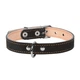 Нашийник Collar подвійний 14 мм х 27-35 см Чорний (00121 Col) - зображення 1