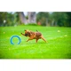 Кільце для апортировки PitchDog20 D 20 см Блакитний (25881051) - зображення 5