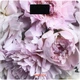 Ваги підлогові Peonies, 150кг, AAAx2 в комплекті, скло, багатокольорові ARDESTO (teh0018013) - зображення 1