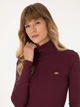 Гольф-водолазка жіноча U.S. Polo Assn G082SZ082-000-2296800 (Plum) M Бордова (8683859341856) - зображення 3
