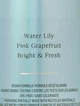 Парфюмированный спрей для тела Victoria’s Secret Aqua Kiss Fragrance Mist 250мл - изображение 2