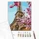 Картина по номерам Сакура в Париже 40х50 см BrushMe BS52836 - изображение 2