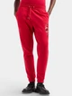 Спортивные штаны женские Armani Exchange 91886975 XL Красные (1159851614) - изображение 1