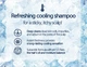 Освежающий шампунь для волос с ментолом CP-1 Cool Mint Shampoo Head Spa , 100 мл - изображение 2